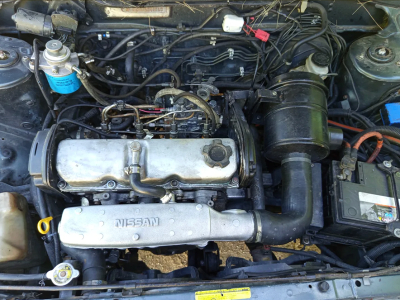 Imagen de  Manual  1995 Nissan Sentra