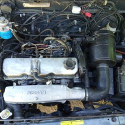 Imagen de  Manual  1995 Nissan Sentra
