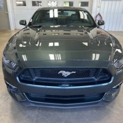 Mustang 2015 usado en venta