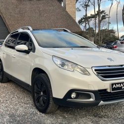 2008 2018 usado en venta