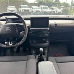 Modelo C4 Cactus por dentro