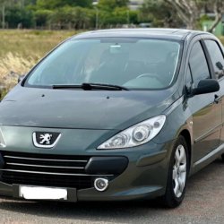 307 2012 usado en venta