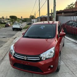 venta de Suzuki Celerio usado