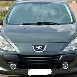 Peugeot usado en Montevideo