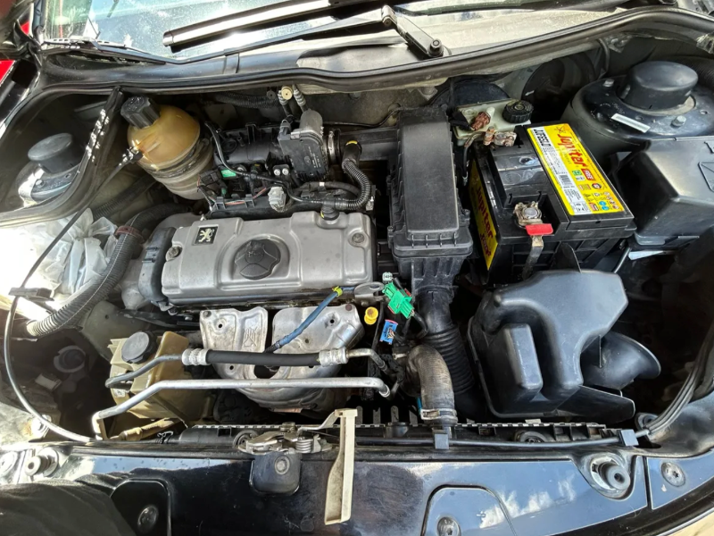 Modelo 308 por dentro