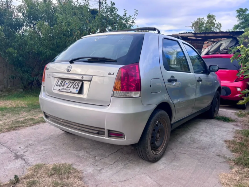 Fiat usado en Colonia