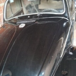 ar/volkswagen-escarabajo-1-0l-base-1980-usado-buenos-aires