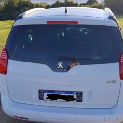 venta de Peugeot 5008 usado