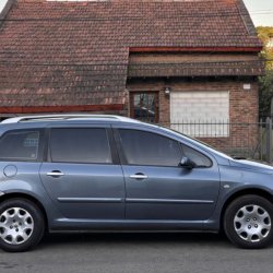 venta de Peugeot 307 usado
