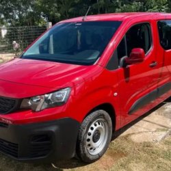 Peugeot usado en Canelones