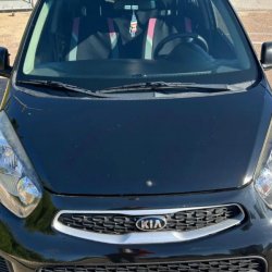 Picanto 2017 usado en venta