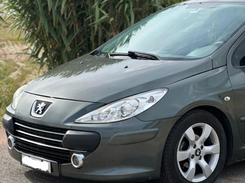 venta de Peugeot 307 usado