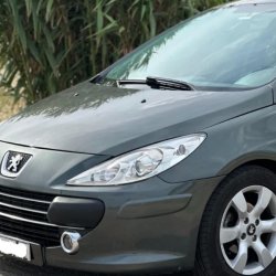 venta de Peugeot 307 usado