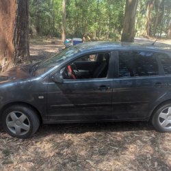 venta de Volkswagen Polo usado