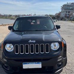 Renegade 2016 usado en venta