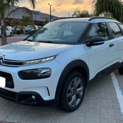 C4 Cactus  nuevo en venta